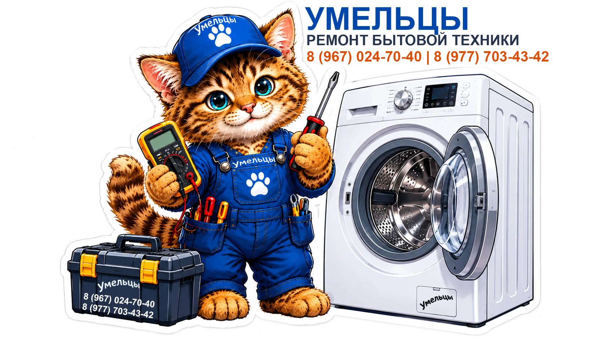 Кот-мастер у стиральной машины